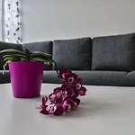 Mardi Downtown Apartment